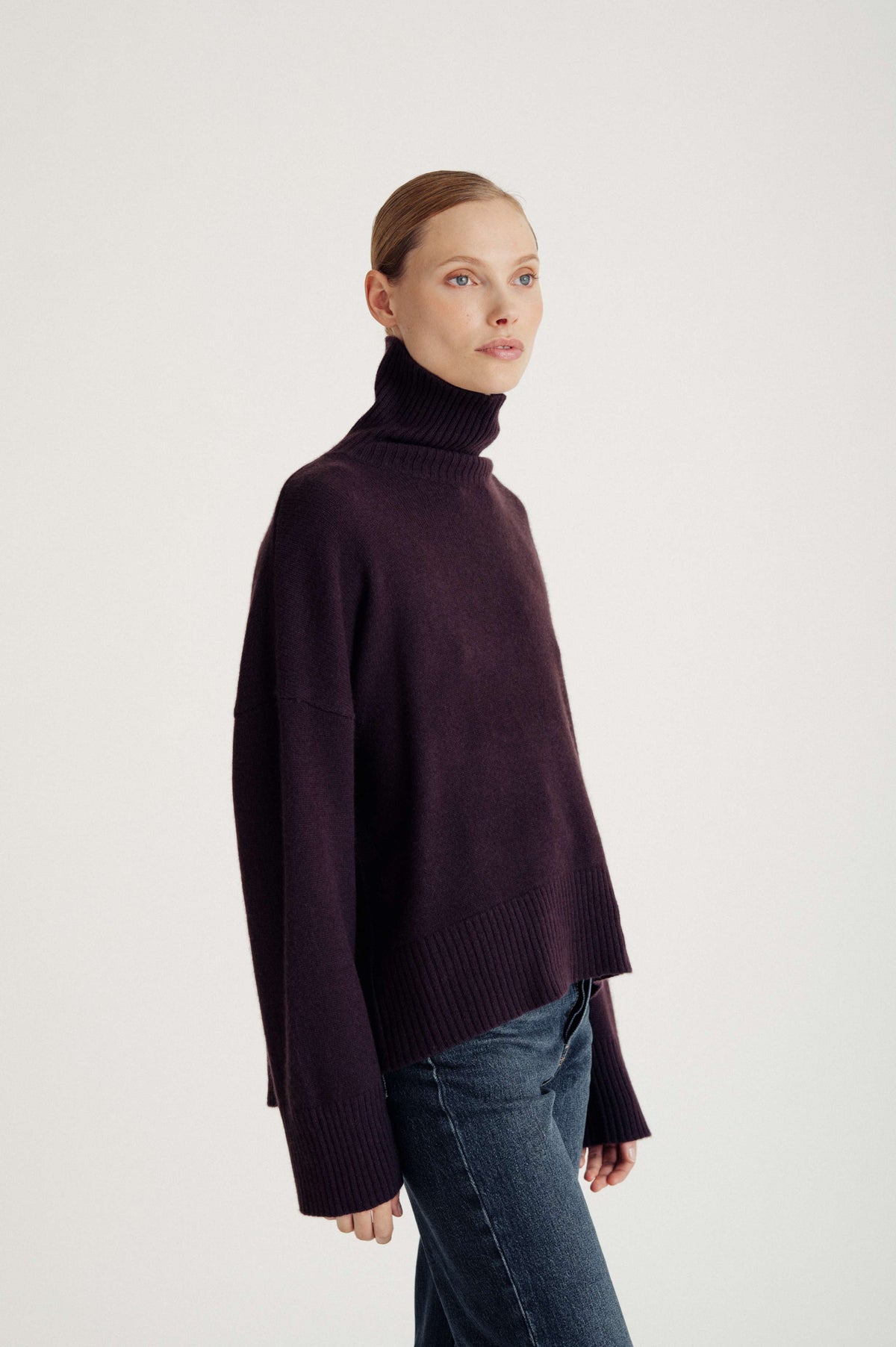 Davida Chunky Roll Neck Sweater Sweaters Plum